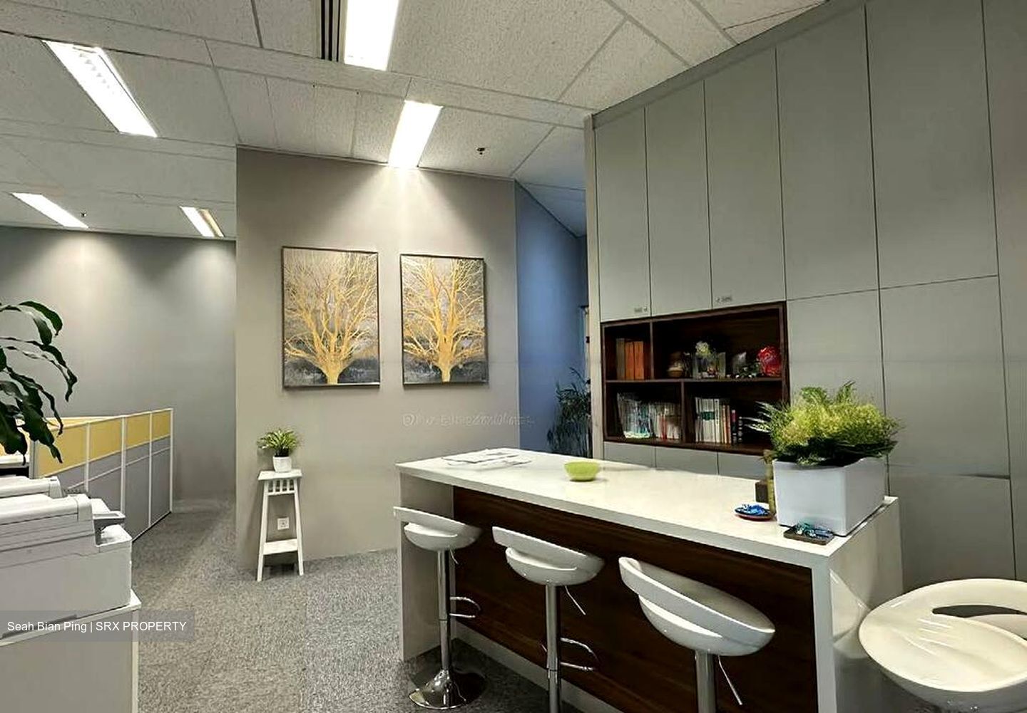 Anson House (D2), Office #521319141